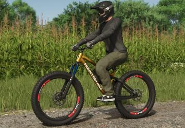 Lizard Mountain Bikeверсия 1.0.0.0 для Farming Simulator 2025