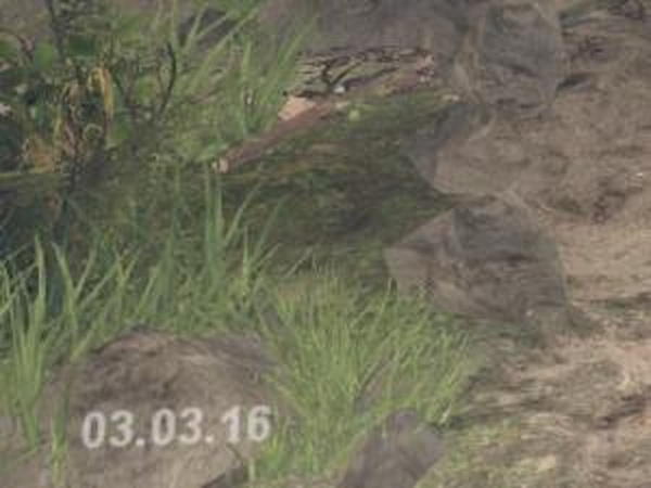 SpinTires обновилась до 03.03.16