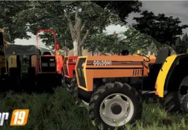 Goldoni Star 75версия 1.0.0.0 для Farming Simulator 2019