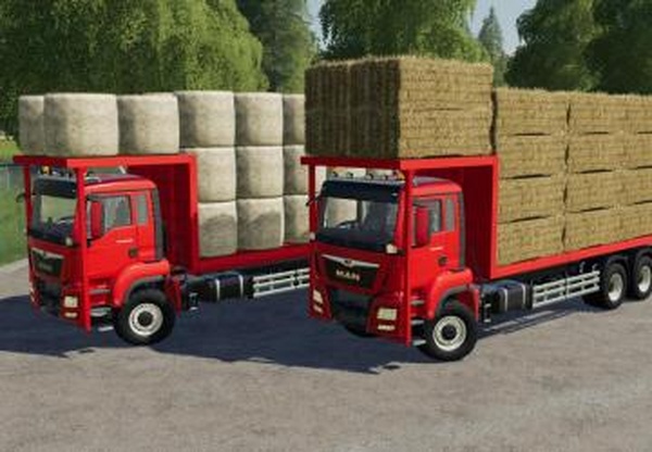 MAN TGS 18.500 Bale Transport Autoloadверсия 1.0.0.0 для Farming Simulator 2019 (v1.5.x)