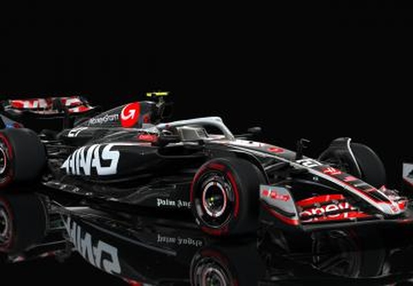 Haas VF-24версия 1 для Assetto Corsa