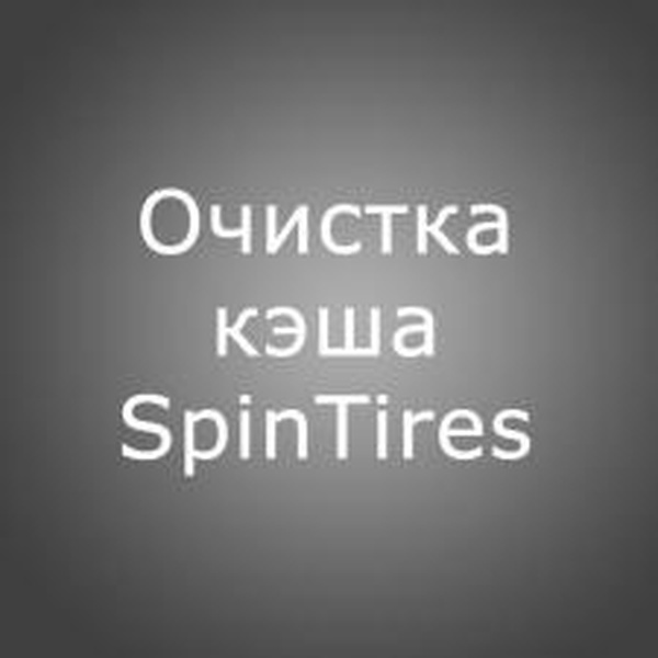 Полная очистка кэшадля SpinTires