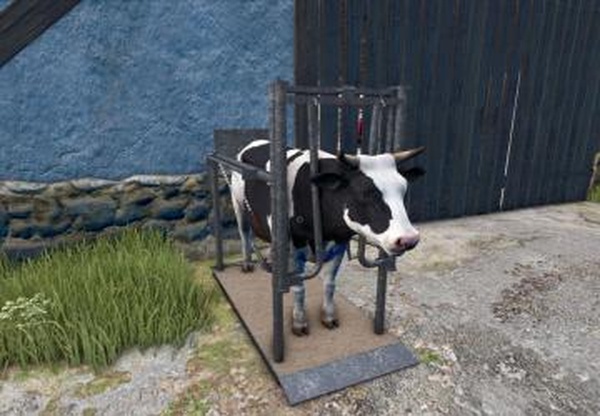 Cow care stationверсия 1.0.0.0 для Farming Simulator 2025