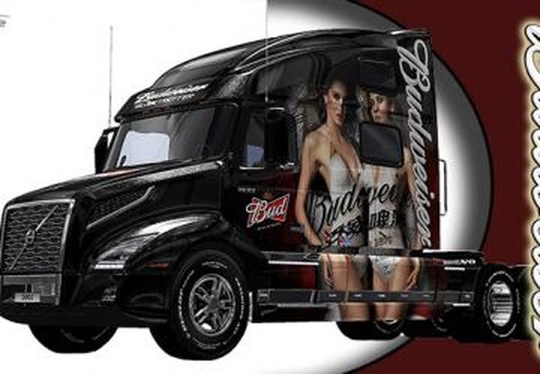 5 Скинов для Volvo VNL 2019версия 1.0 для Euro Truck Simulator 2 (v1.32.x, - 1.35.x)