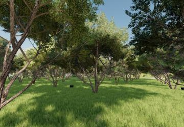 Fruit Orchardверсия 2.0.0.0 для Farming Simulator 2022