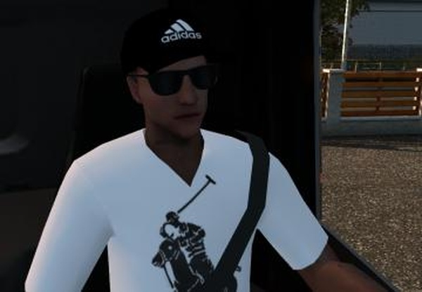 Driver Skinверсия 1.0 для Euro Truck Simulator 2 (v1.32.x, - 1.34.x)