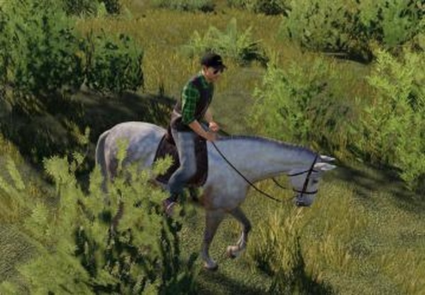Horseверсия 1.0 для Farming Simulator 2019 (v1.5.1.0)