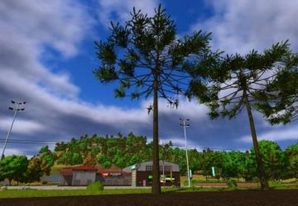 Araucariaверсия 1.1.0.0 для Farming Simulator 2025