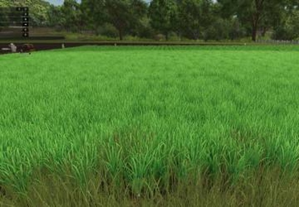 Grow Nowверсия 1.0.0.0 для Farming Simulator 2025