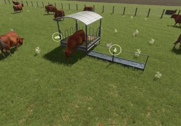 Cattle pastureверсия 1.0.0.0 для Farming Simulator 2025