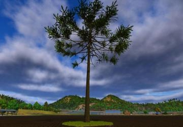 Arariaucariaверсия 1.0.0.0 для Farming Simulator 2025