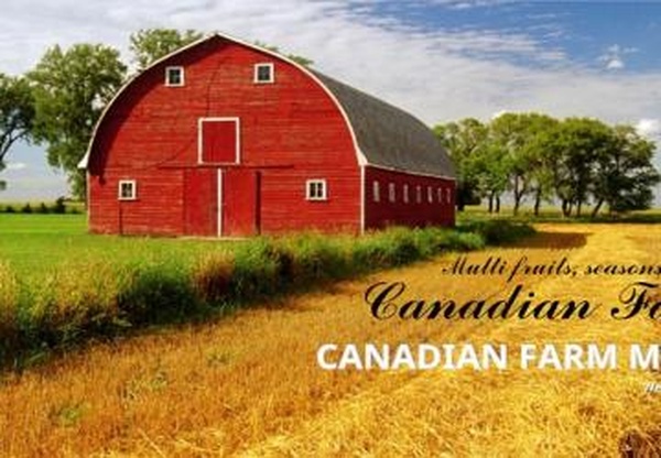 Карта «Canadian Farm 4»версия 5.2 для Farming Simulator 2019 (v1.5.х)