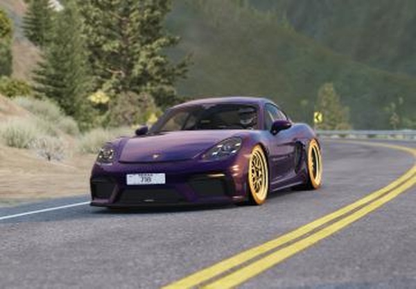 Porsche 718 Cayman GT4  WLW X SPARKOдля Assetto Corsa