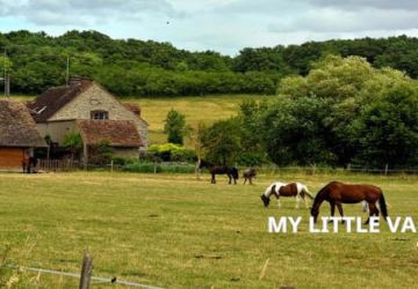 Карта «Ma Petite Vallee»версия 2.0.0.0 для Farming Simulator 2019 (v1.4х)