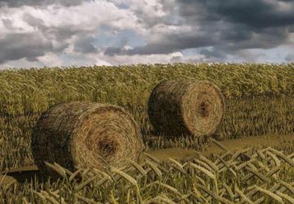 Wheat – Barley – Windrow – Bales – Animationsv1.0.0.0 для Farming Simulator 2019 (v1.4х)