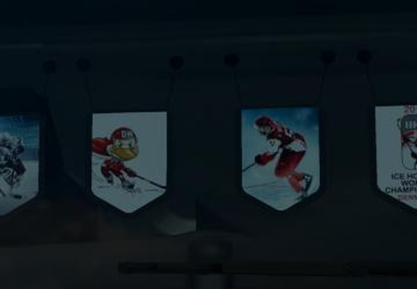 Мод  2018 IIHF World Championship Pennants Packv1.0 для Euro Truck Simulator 2 (v1.21.x, - 1.31.x)