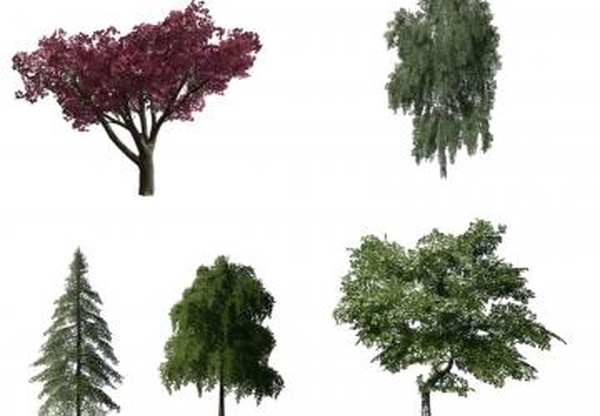 More Treesверсия 1.0.1.0 для Farming Simulator 2019 (v1.4х)