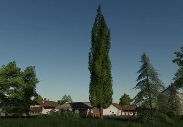 Placeable poplarверсия 1.0.0.0 для Farming Simulator 2019 (v1.4х)