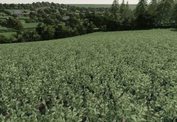 Realistic Cereal And Canola Crop Densitiesv1.0.0.0 для Farming Simulator 2019 (v1.4х)