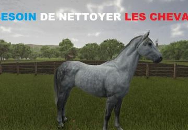 No need to clean horses anymoreверсия 1.0.0.0 для Farming Simulator 2025
