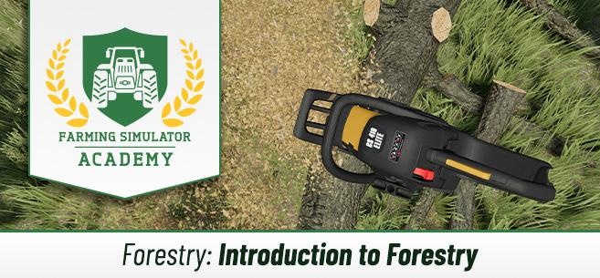 Лесозаготовка в FS22: типы деревьев и их обработка