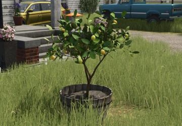 Lemonверсия 1.0.0.0 для Farming Simulator 2025