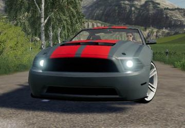 Lizard Road Rageверсия 1.0.0.0 для Farming Simulator 2019 (v1.4)