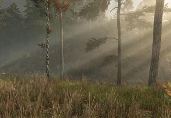 Ever Green Coastверсия 1.0.0.0 для Farming Simulator 2025