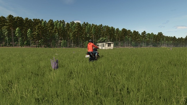 МОД Карта Homestead FS25 v1.0.0.2 (1.16.x) ДЛЯ FARMING SIMULATOR 2025