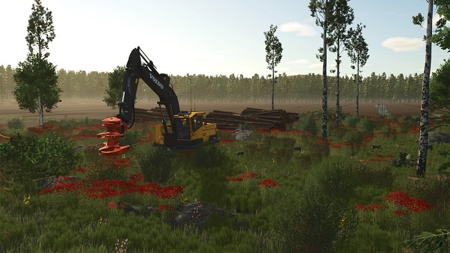 МОД Карта Sunshine Forest v1.0.0.6 (1.16.x) ДЛЯ FARMING SIMULATOR 2025