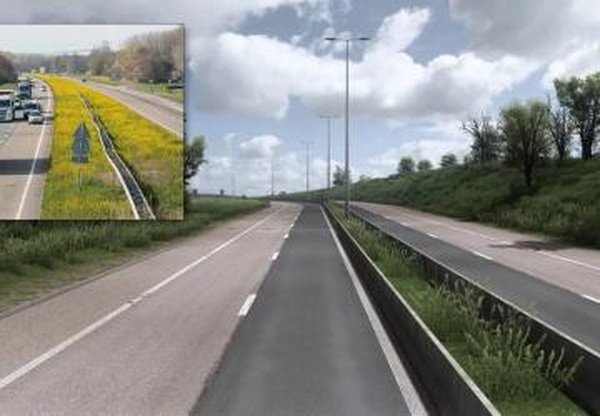 Мод PNG Road to Spring версия 2.0 для American Truck Simulator (v1.59.x)