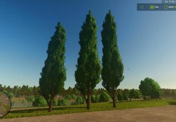 Мод Black poplar (tree) версия 1.0.0.0 для Farming Simulator 2025