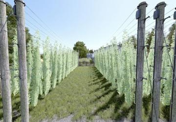 Мод Small Hop Plantation версия 1.0.0.0 для Farming Simulator 2025