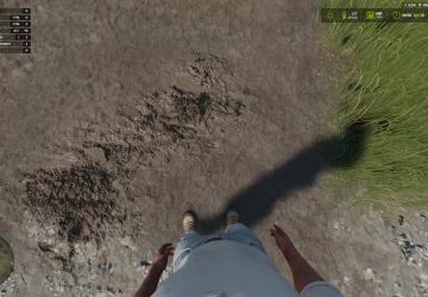 Мод Тело игрока от первого лица версия 1.0.0 для Farming Simulator 2025 (v1.20)