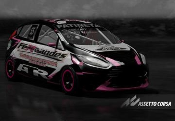 Мод TN C2 2020 Ford Fiesta версия 1.0 для Assetto Corsa