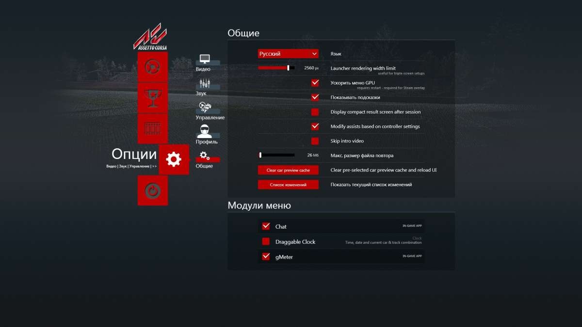 Русификатор Assetto Corsa (Текст)